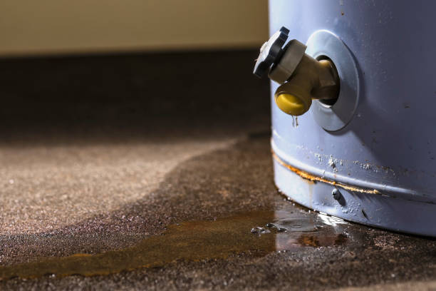 Best Professional water damage repair  in Lakewood, CO