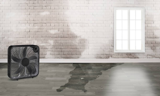 Best Fire Damage Restoration  in Lakewood, CO