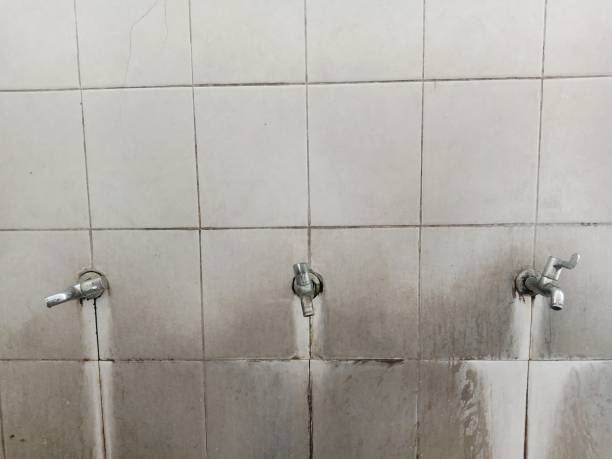 Best Water damage restoration near me  in Lakewood, CO